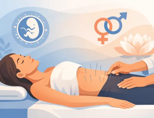 Acupuncture for Fertility Support Explained