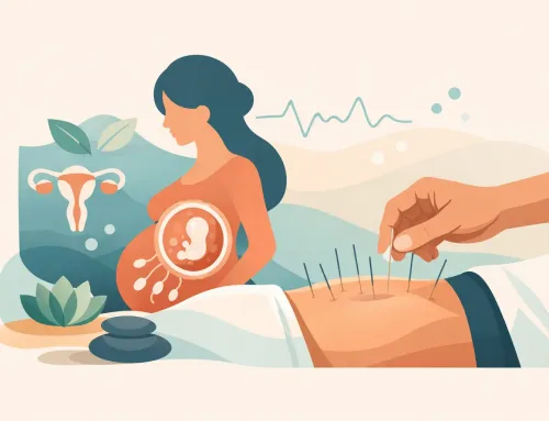 A Practical Guide to Fertility Acupuncture