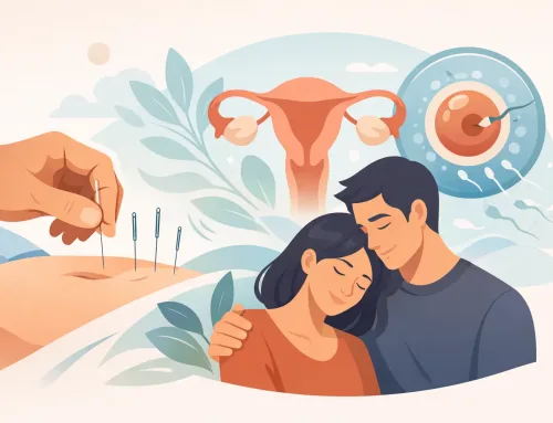How Acupuncture Supports Fertility